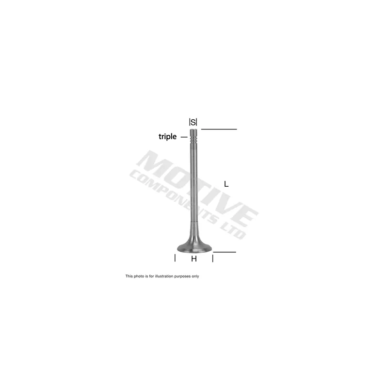 Distributeur, volet gaz d'échappement MOTIVE EV9467
