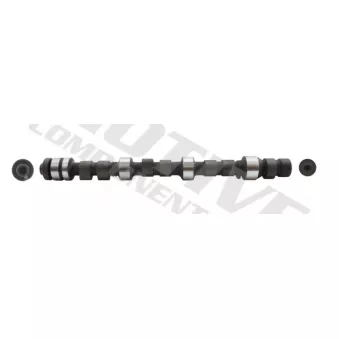 Arbre à came MOTIVE