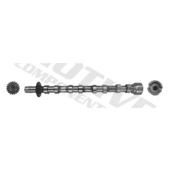 Arbre à came MOTIVE T4002