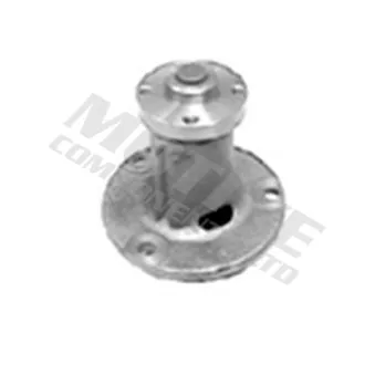 Pompe à eau MOTIVE WP1110