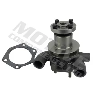 Pompe à eau MOTIVE WP1153