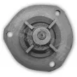 Pompe à eau MOTIVE WP1201 - Visuel 3