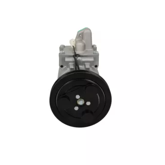 Compresseur, climatisation BV PSH 090.595.038.874