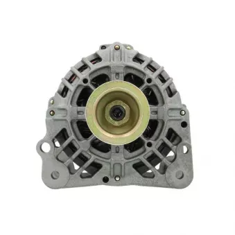 Alternateur BV PSH 305.517.090.215