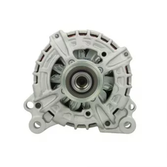 Alternateur BV PSH 305.925.140.210