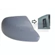 Revêtement, rétroviseur extérieur TYC 302-0117-2 - Visuel 1