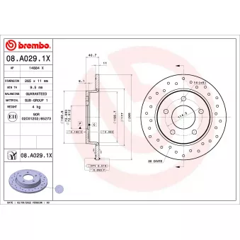 Jeu de 2 disques de frein arrière BREMBO 08.A029.1X