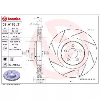 Jeu de 2 disques de frein avant BREMBO