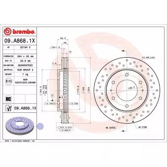 Jeu de 2 disques de frein avant BREMBO 09.A868.1X