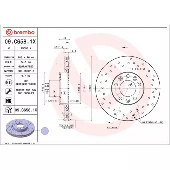 Jeu de 2 disques de frein avant BREMBO 09.C658.1X