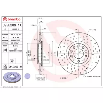 Jeu de 2 disques de frein avant BREMBO 09.D209.1X