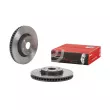 Jeu de 2 disques de frein avant BREMBO 09.D245.1X - Visuel 2