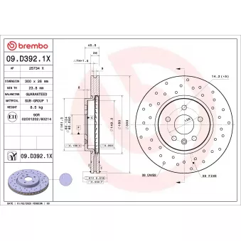 Jeu de 2 disques de frein avant BREMBO 09.D392.1X