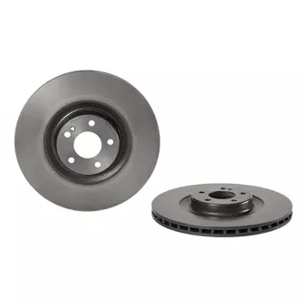 Jeu de 2 disques de frein arrière BREMBO 09.D532.13