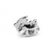 Étrier de frein BREMBO F BR 023B - Visuel 1