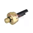 Capteur, pression de carburant METZGER 0906493 - Visuel 1