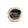Capteur, pression de carburant METZGER 0906493 - Visuel 2