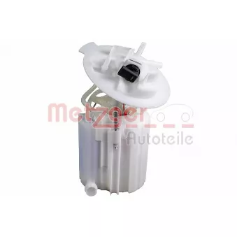 Unité d'injection de carburant METZGER 2250593
