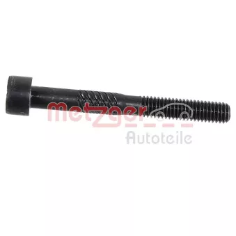 Kit de vis, palier d'arbre à cames METZGER 2411065