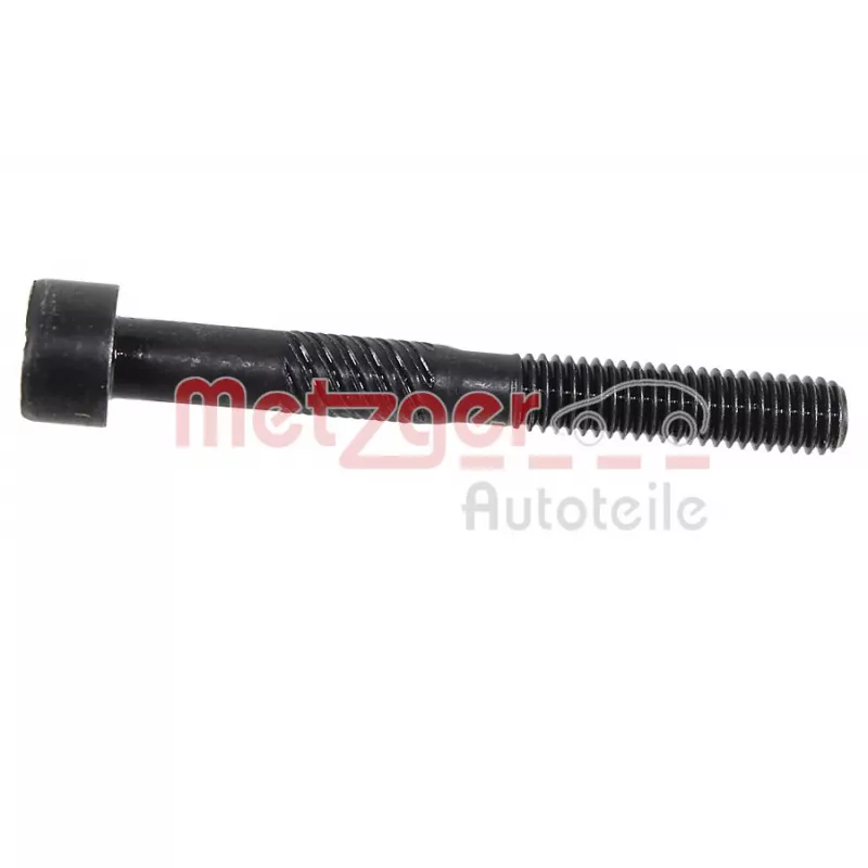 Kit de vis, palier d'arbre à cames METZGER 2411065