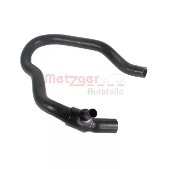 Durite de radiateur METZGER 2421813