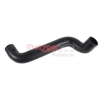 Durite de radiateur METZGER 2421814