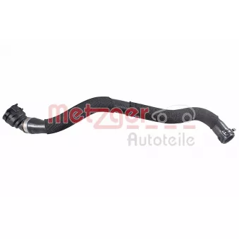 Durite de radiateur METZGER 2421833