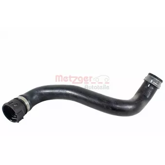 Durite de radiateur METZGER 2421852