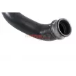 Durite de radiateur METZGER 2421852 - Visuel 2