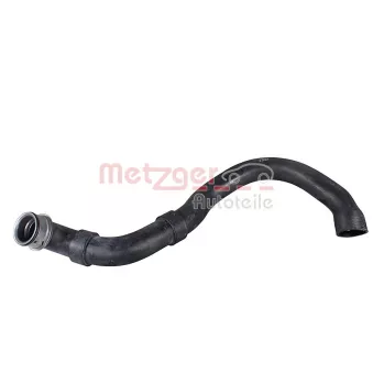 Durite de radiateur METZGER 2421853