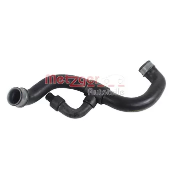 Durite de radiateur METZGER 2421859