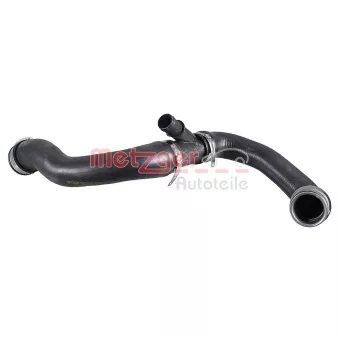 Durite de radiateur METZGER 2421860