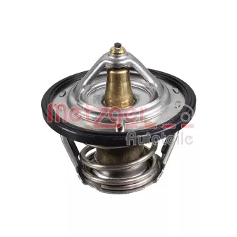 Thermostat d'eau METZGER