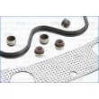 Pochette moteur complète AJUSA 50144200 - Visuel 3