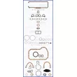 Pochette moteur complète AJUSA 51007400 - Visuel 2