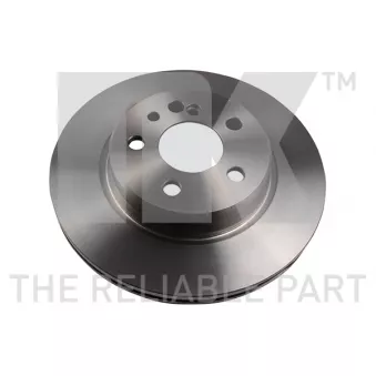 Jeu de 2 disques de frein arrière NK 203331