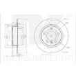 Jeu de 2 disques de frein arrière NK 3115121 - Visuel 3