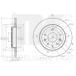 Jeu de 2 disques de frein arrière NK 313285 - Visuel 3