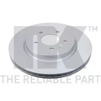 Jeu de 2 disques de frein arrière NK 313676