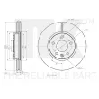 Jeu de 2 disques de frein avant NK 313685 - Visuel 2