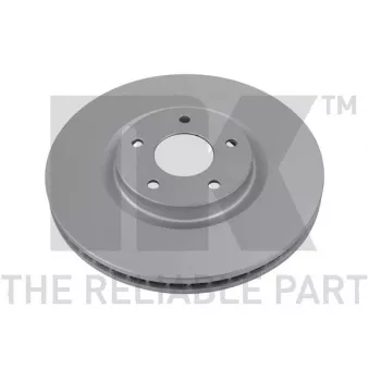 Jeu de 2 disques de frein arrière NK 313968