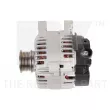 Alternateur NK 4846240 - Visuel 2