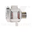 Alternateur NK 4890513 - Visuel 1