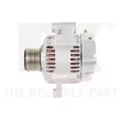 Alternateur NK 4890513 - Visuel 2