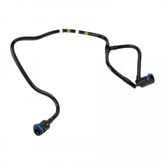 Durite de refroidissement OE 5801317181