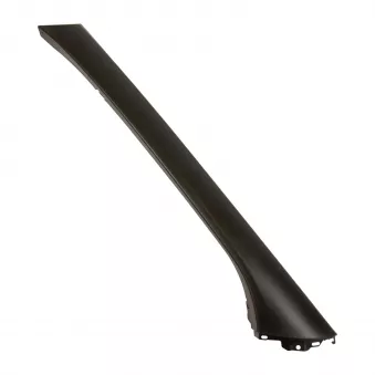 Baguette de porte OE 5802032579