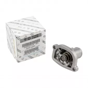 Thermostat d'eau OE 46523118