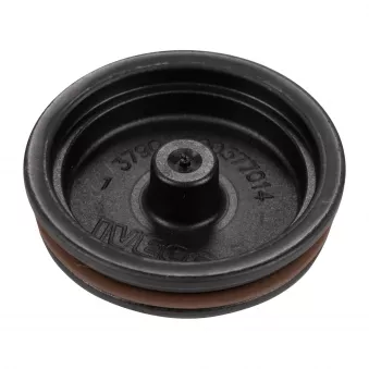 Capot de protection, Arbre à cames OE 500389605