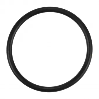 Bague d'étanchéité OE 17289680