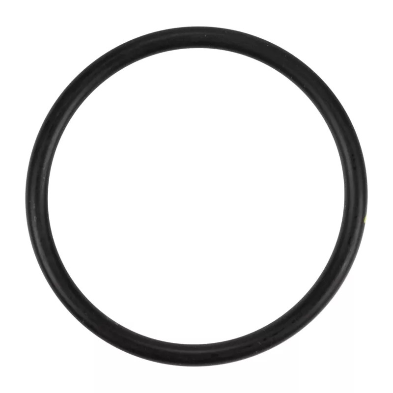 Bague d'étanchéité OE 17289680